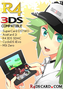 Pokemon R4 3DS