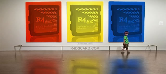 R4 SDHC colors
