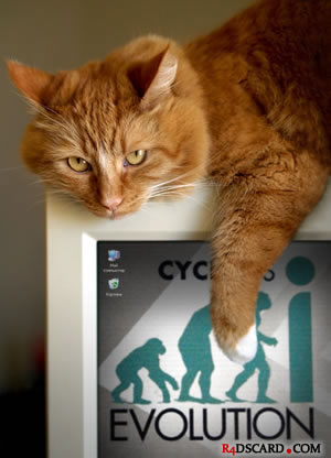cyclo ds evolution